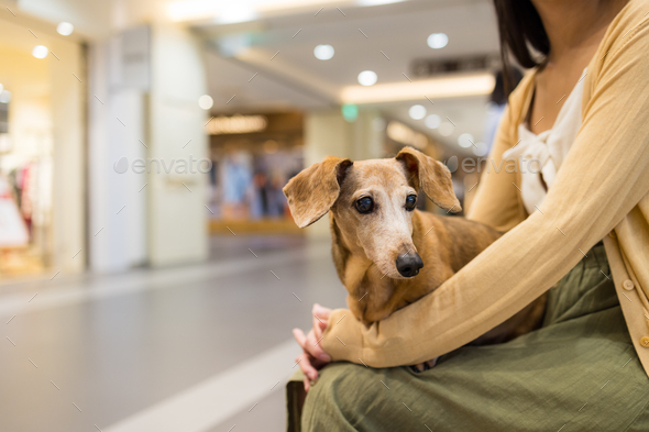 Dog hotsell shopping mall