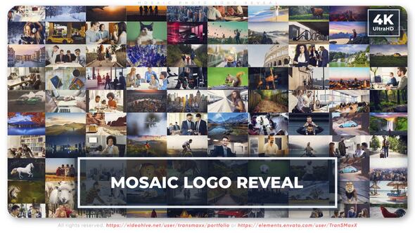Mosaic Photo Logo Reveal