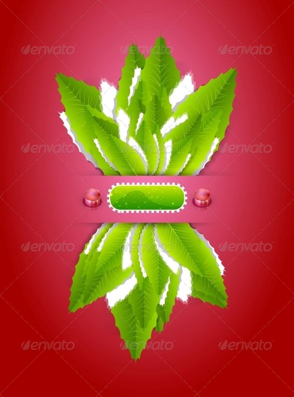 Green leaves nature background - Flowers & Plants Nature