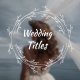 Minimal Wedding Titles - VideoHive Item for Sale