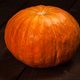 Pumpkin - PhotoDune Item for Sale