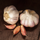Garlic - PhotoDune Item for Sale
