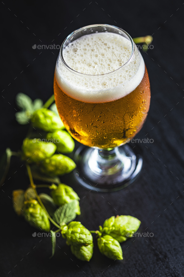 Glass of beer and hops crop on black table.