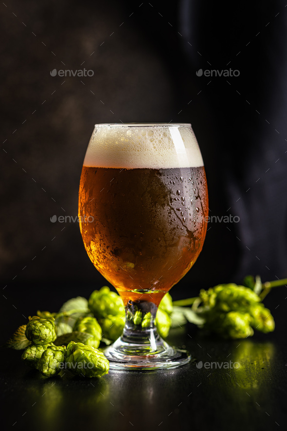 Glass of beer and hops crop on black table.
