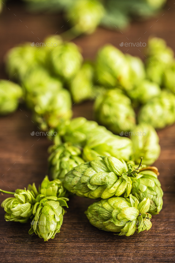 Green hops crop in bowl on wooden table.