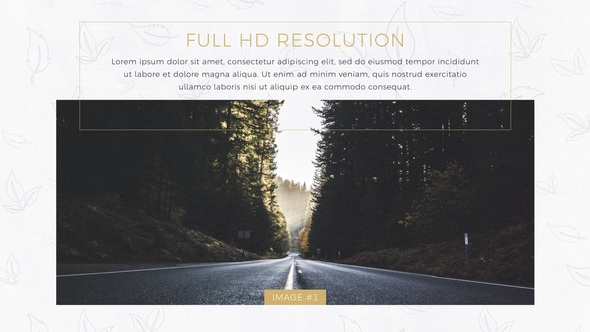 Stylish Minimal Slideshow Video Displays template preview