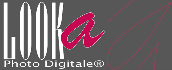 590x242px