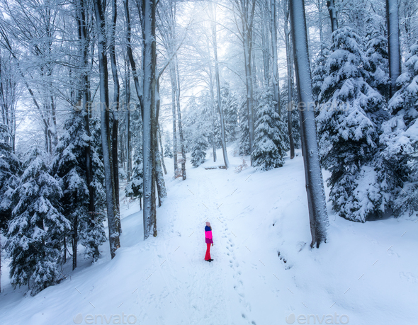 View a pretty girl in a forest