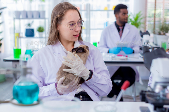 Scientist or pharmacist do research chemical ingredients test on animal in laboratory