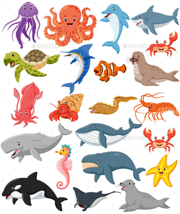Set of Fish and Wild Marine Animals Cartoon