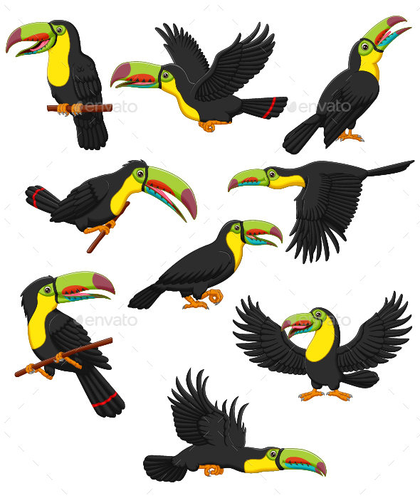 Set of 9 Cute Toucan Cartoon