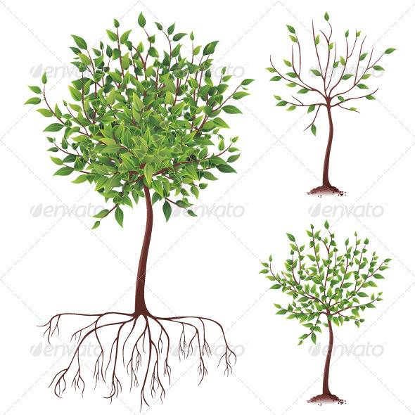 Tree Icons - Nature Conceptual