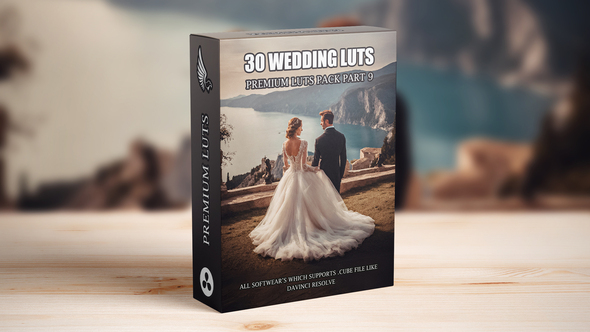 Top 30 Professional Cinematic Wedding LUTs For Wedding Filmmakers - Part 9
