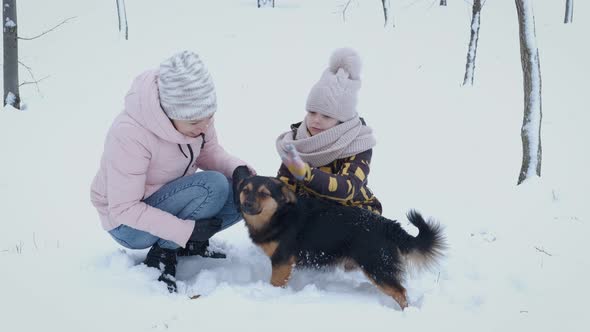 Family with Active Dog in Winter alt