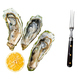 Seafood Brassiere, open Oysters with lemon. Isolated, white