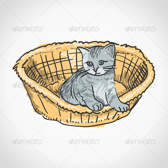 Kitten in Basket - Animals Characters