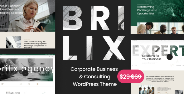 Brilix – Corporate Business & Consulting WordPress Theme