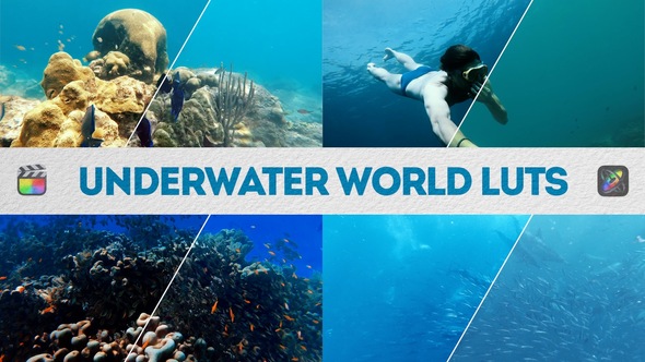 Underwater World LUTs | FCPX & Apple Motion