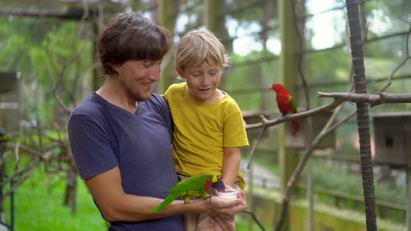 Super Slowmotion Shot of a Father and Son in a Bird Park Feed a Green Parrot Sitting on Father's alt
