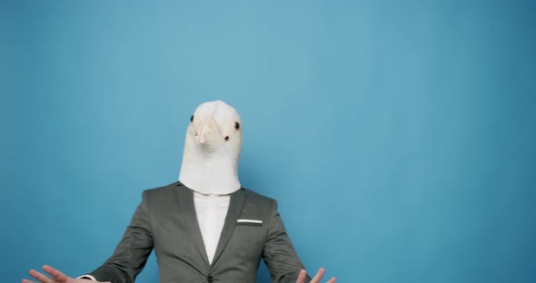 Happy Guy in Gray Suit Dance with Pigeon Mask on Blue Background alt