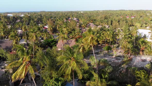 Aerial View African Tropical Beach Resort ThatchedRoof Hotels Pools Zanzibar alt