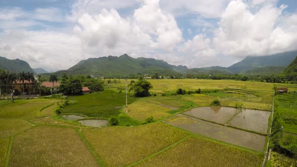 Beautiful view of iconic rice paddy terrace fields in Mai Chau, Vietnam Asia. 4K timelapse alt