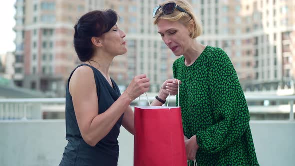 Two Envious Adult Women Bragging Purchases in Shopping Bags Talking Standing on City Street alt
