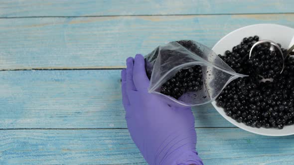 Packing Blueberries in Zipper Plastic Bags for Freezing. Frozen, Preservation Fruits, Berries Food alt