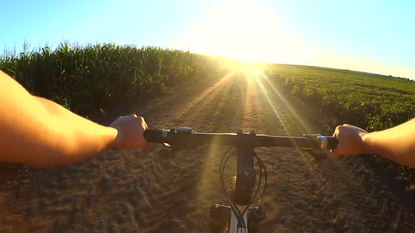 Man on Bicycle is Riding Across the Field to Meet the Sun During Sunset Sunrise alt