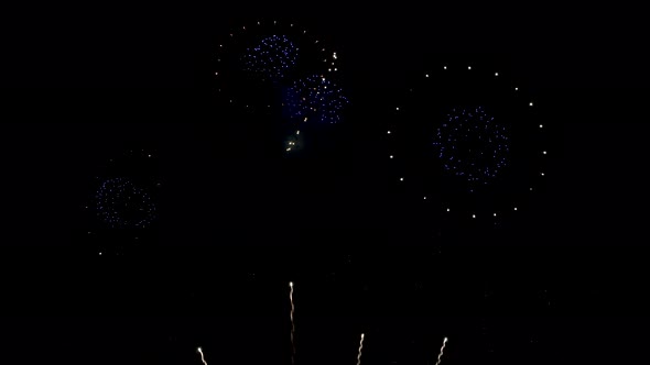 Many flashing colourful fireworks in event amazing with black background.