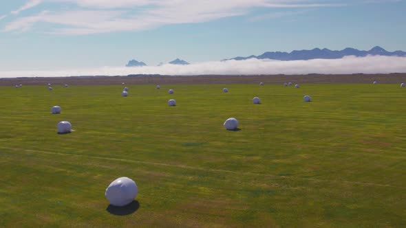 Drone Over Green Field With Covered Hay Bales alt