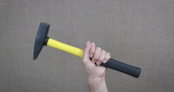 Woman Hand with a Hammer alt