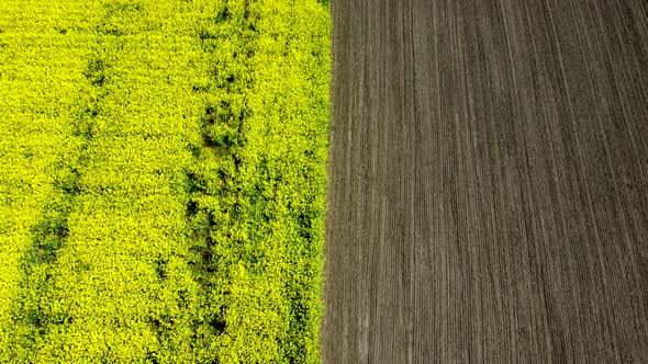 Aerial Drone View Flight alt