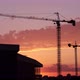 Silhouettes of construction tower cranes with buildings - VideoHive Item for Sale