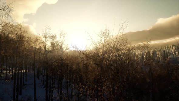 Majestic Winter Landscape Glowing By Sunlight alt