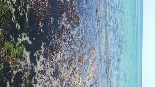Vertical Video of Low Tide in the Ocean Near the Coast of Zanzibar Tanzania Aerial View alt