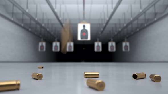 Shooting range with shells falling in front of camera. Target damaged by bullets alt