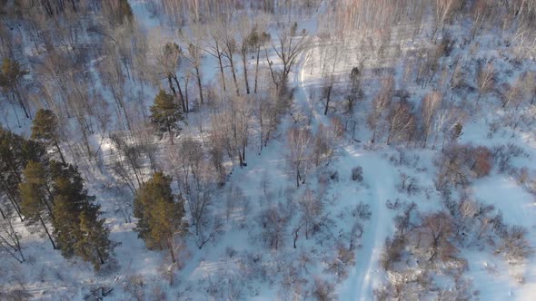 Aerial  Shot of Beautiful Winter Forest