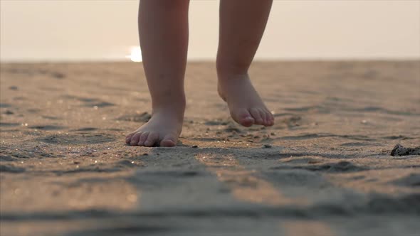 Silhouette of Children's Feet Walking on Wet Sand in Along a Tropical Beach on a Tropical Ocean alt