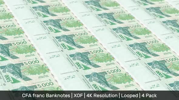 West African States Banknotes Money / CFA franc / Currency CFA / XOF / 4 Pack - 4K alt