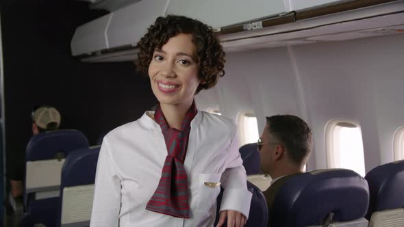 Portrait of airliner flight attendant