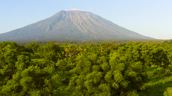 Large Volcano with Forest