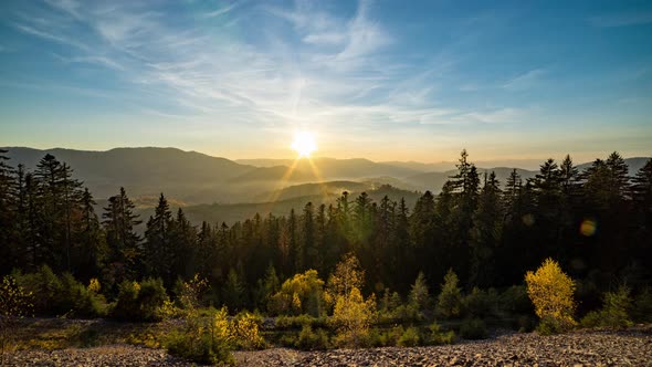 Coniferous Forest in Highland By Hills From Day Till Dusk alt