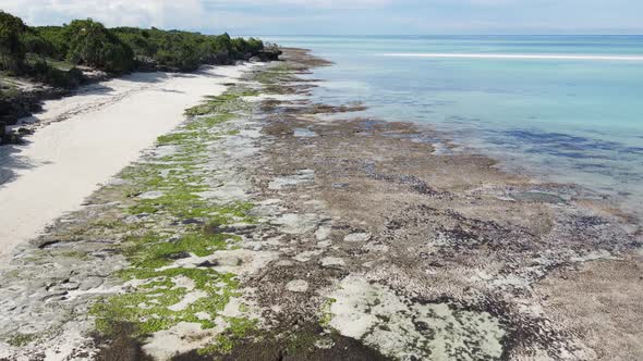 Ocean Low Tide Near the Coast of Zanzibar Island Tanzania alt