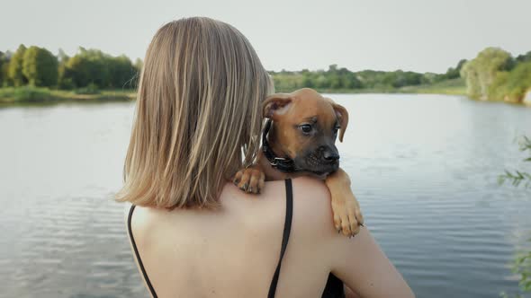 Portrait of Cute Small German Boxer Puppy in Nature Near the Lake Woman Holds Dog on Arms alt