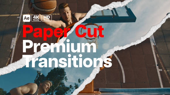 Premium Transitions Paper Cut Elements template preview