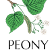 Peony - Organic Tea and Herbal Shop WordPress Theme