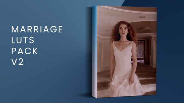 Marriage LUTs Pack V2  | FCPX