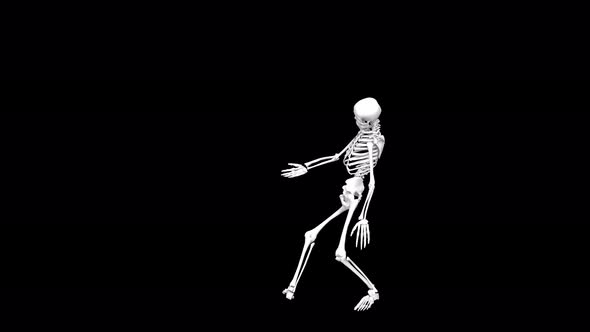 Skeleton Dance 05