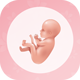 Pregnancy Tracker - Pregnancy Calculator - Ovulation Tracker - Baby Guide - Pregnancy Diet